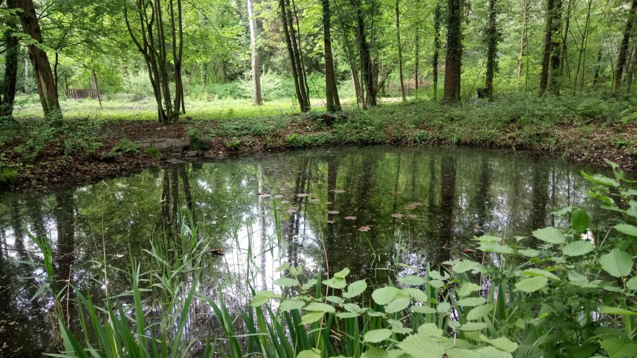 LautaHaus Waldidyll公寓 外观 照片