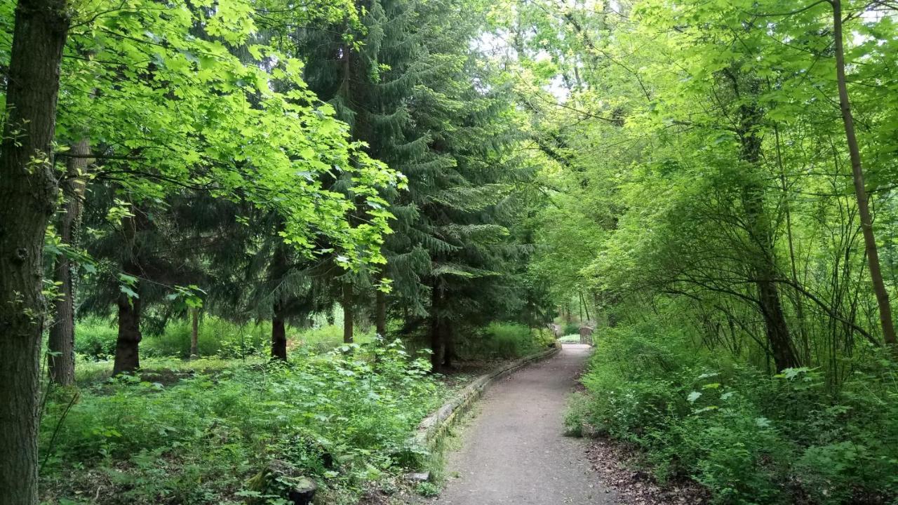 LautaHaus Waldidyll公寓 外观 照片